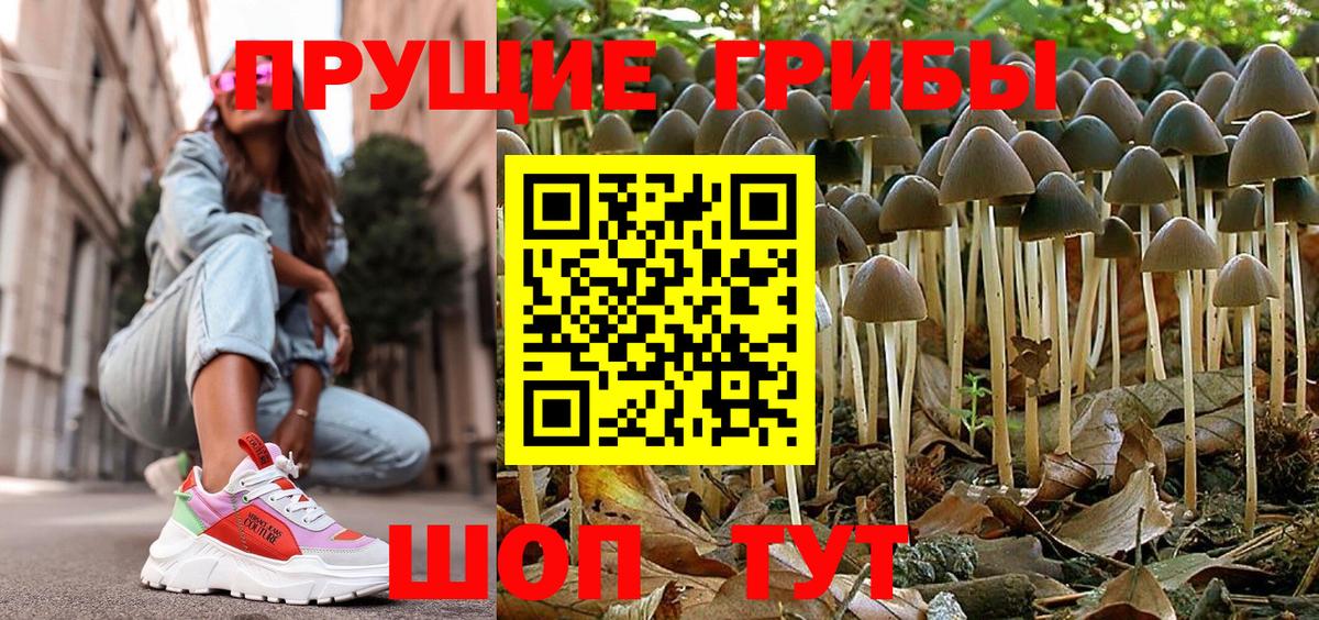Псилоцибиновые грибы Magic Shrooms  Галлюциногенные грибы Psilocybine cubensis  Гагарин  Вход с VPN 