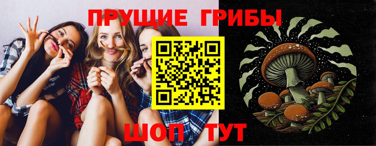 Псилоцибиновые грибы прущие грибы Гагарин